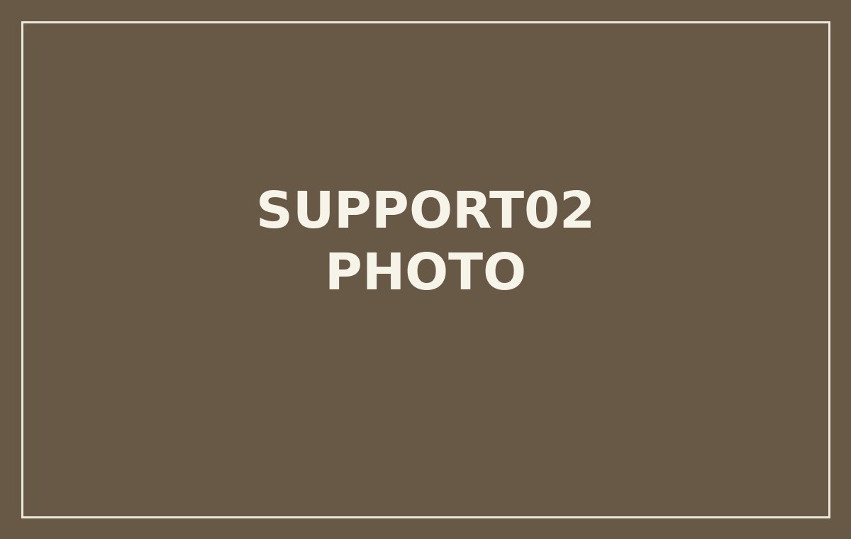 支える 写真2