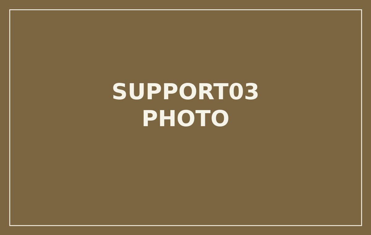 支える 写真3